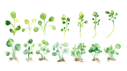 Watercolor illustration of five young plant seedlings with delicate roots and green leaves on white background