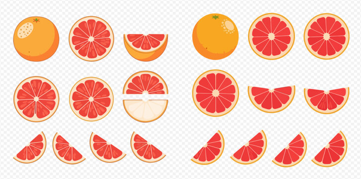 Set of fresh grapefruit whole, half, and sliced pieces, citrus fruit vector illustration.