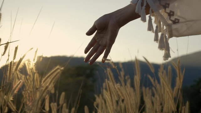 Close up of woman's hand gently touching dried grass flowers on a hill at sunset with mountain background.
