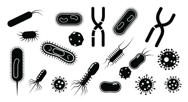 Black and white illustration depicting various bacterial and viral forms