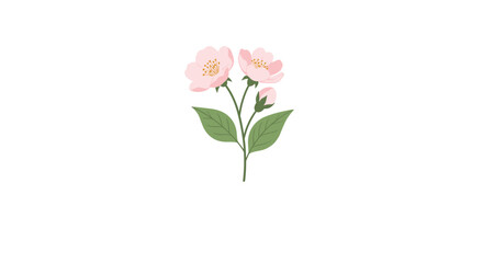 Obraz premium Small branch with pink cherry blossoms and green leaves centered on a plain white background for minimalist design.