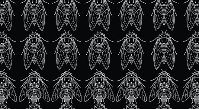 Repeating seamless pattern of white line art cicadas on a solid black background creating a striking nature design.