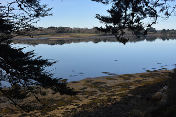 Paysage hivernal gel du Morbihan Bretagne, France. 