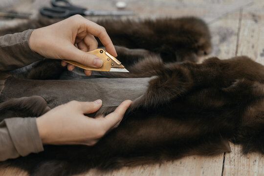 Close up of a craftsman using a specialized furrier knife to prepare mink pelt for handmade fur garments.Traditional Scandinavian techniques produce coats, hats, mittens, gloves, and luxury fur items.