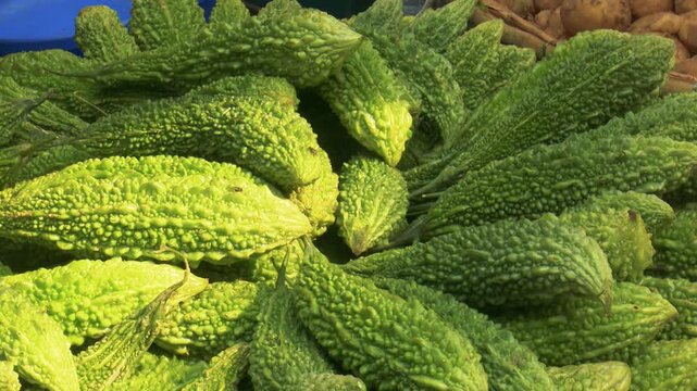 Bitter Gourd Fresh from Local Market