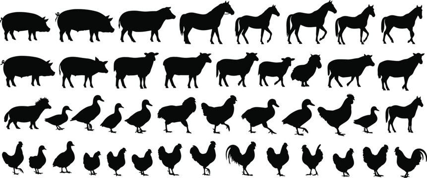 Farm animal silhouettes in rows, pig horse sheep duck chicken vector illustration, agricultural design, decorative nature motif concept