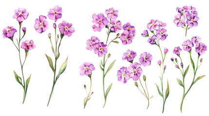 Naklejka premium Three watercolor sprigs of purple flowers with green leaves on transparent background