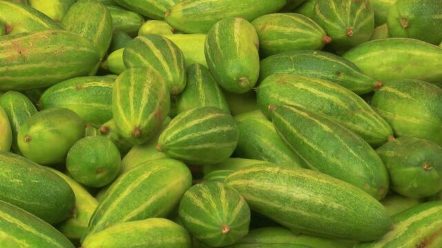 Fresh Green Pointed Gourd at Market