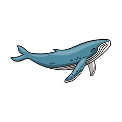 Obraz premium Majestic blue baleen whale swimming in the ocean illustration