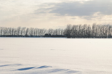 地面の雪面がきらきらと輝く、田園地域の夕刻 © akht.mymt