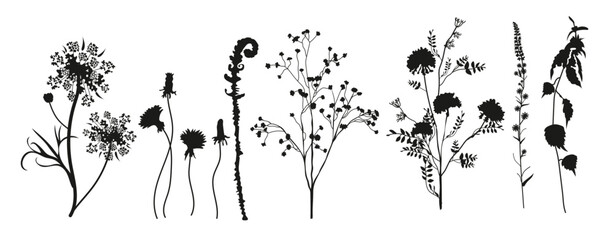 floral collection of black silhouettes of meadow herbs  © Uozj