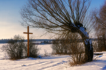 Zimowy pejzaż z wierzbami, Podlasie, Polska