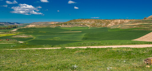 Agricultural Fields, Segovia, Castilla y Le&oacute;n, Spain, Europe