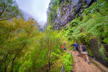 Levada do Risco, Mountain Footpath, Irrigation Channel Maintenance Trail, Madeira, Portugal, Europe