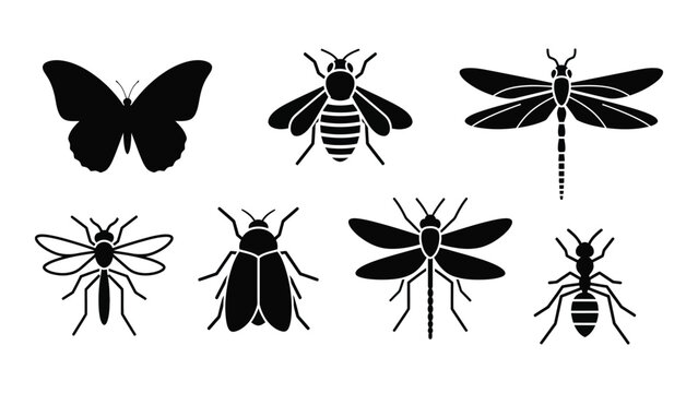 An illustration of various insects including butterflies, bees, dragonflies, mosquitoes, and ants. isolated on white background, Vector
