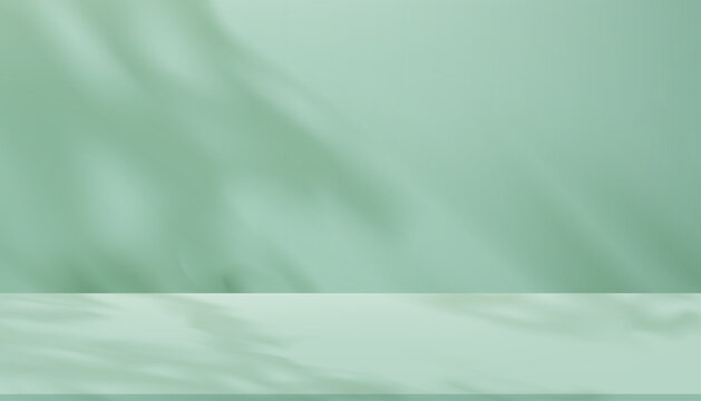 Shadow Background,Color Mint green wall with white light texture overlay on empty studio wall.Minimal soft shadow light blurred leaves.Vector 3d backdrop blank floor display podium for Spring product 