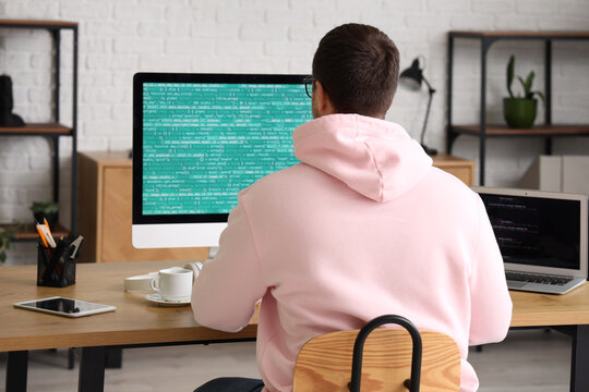 Male programmer working with computer in office, back view