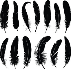 Black feather silhouette collection featuring various bird plumage shapes elegant quill icons and decorative wing elements for boho tribal nature designs and avian vector illustrations © SUSHANTO