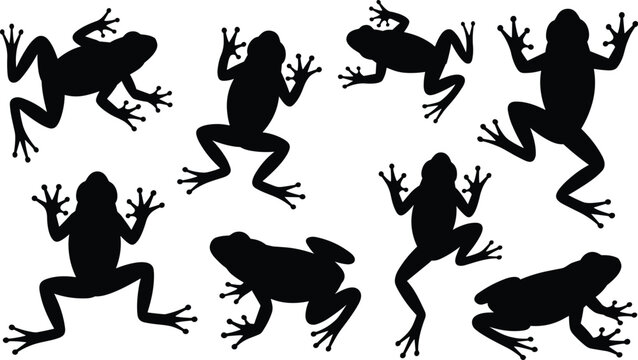 Black frog silhouette collection with jumping sitting and swimming toad shapes tropical tree frog icons for wildlife nature designs pond life and amphibian vector graphics