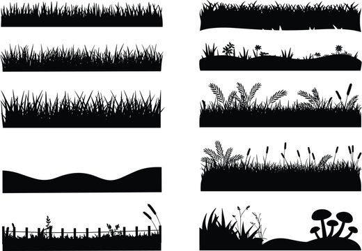 Black silhouette collection of grass borders meadow elements and nature field dividers with wild plants flowers mushrooms cat tails and garden fence for landscape design