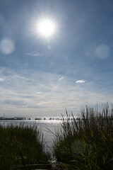Dune grass overlooking the sea on the North Sea coast
