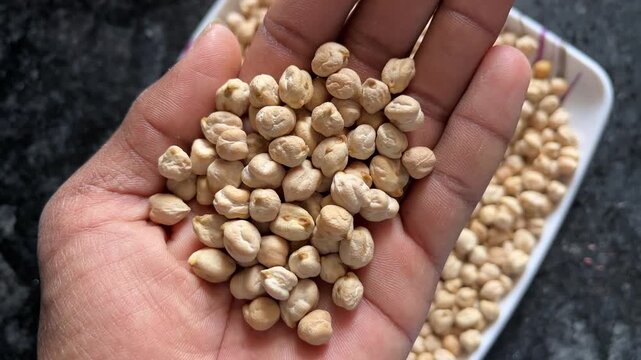 Close-up of a person holding a handful of dried chickpeas (garbanzo beans)