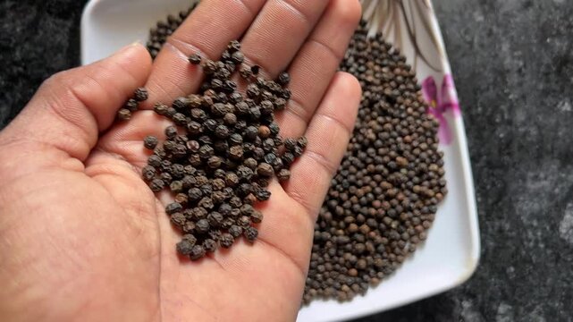 Close-up of a person holding a handful of dried black peppercorns (Piper nigrum)