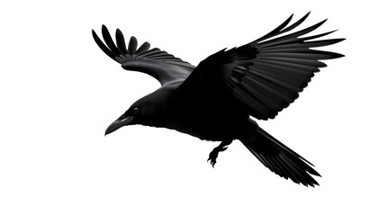 Obraz premium Black crow flying isolated PNG