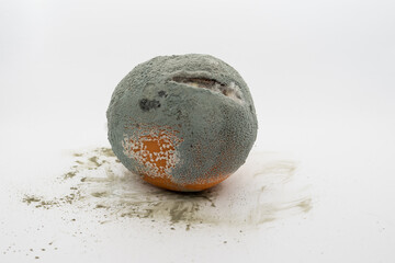 Moldy rotten orange with green fungus isolated on white background. Spoiled fruit, food waste, hygiene and contamination concept.