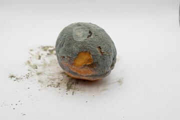 Moldy rotten orange with green fungus isolated on white background. Spoiled fruit, food waste, hygiene and contamination concept.