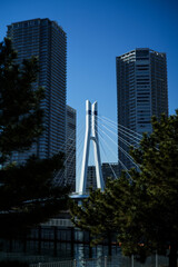 辰巳桜橋　東京都江東区