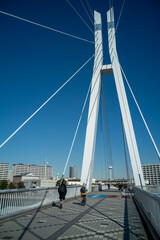 辰巳桜橋　東京都江東区