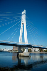 辰巳桜橋　東京都江東区