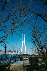 辰巳桜橋　東京都江東区