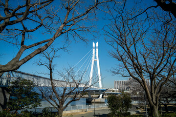 辰巳桜橋　東京都江東区
