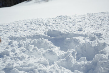 Obraz premium 群馬県_谷川岳インフォメーションセンター