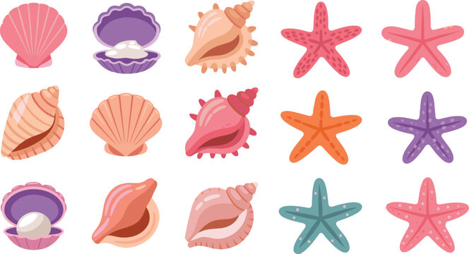 Sea shells and starfish illustration set, colorful marine icons isolated on white background flat vector ocean design collection art pack