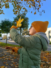Boy in warm hat and jacket holding a yellow maple leaf under colorful autumn trees. Seasonal outdoor portrait with fall foliage, cozy clothing and soft evening light.