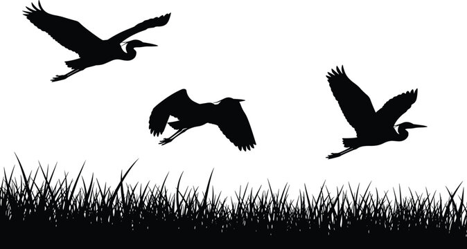 Black silhouette of herons flying over marsh grass in a minimalist wetland nature scene