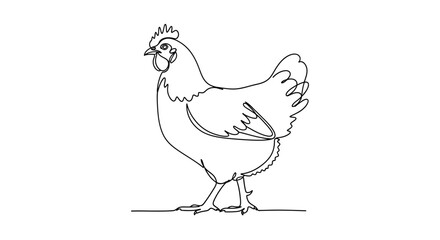 Obraz premium Chicken Standing Profile, Minimalist Single Line Drawing