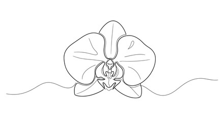 Orchid Flower Single Line Drawing on White