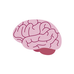 Brain brains organ thinking idea think emoji symbol sign icon vector illustration isolated flat smart 