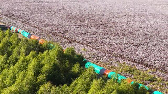 Long line of cotton modules positioned along the edge of harvested fields, aerial pullback