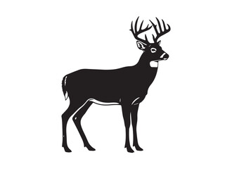 Fototapeta premium whitetail deer buck silhouette, black and white wild stag vector illustration
