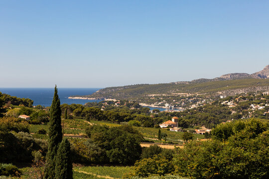 Village de Cassis, vue du vignoble et de la baie en &eacute;t&eacute;, mer et ciel bleu, paysage m&eacute;diterran&eacute;en, Provence, Sud de la France