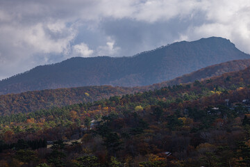 Fototapeta premium 日本 鳥取県西伯郡大山町にある豪円山のろし台から眺める大山の紅葉した木々