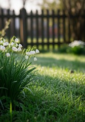 Snowdrop flowers blooming in spring garden
