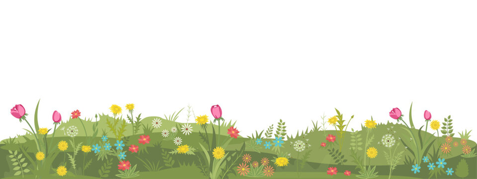 Spring or summer border with green grass and flowers on transparent background - greeting card decor element for Easter greeting or summer poster. Vector illustration
