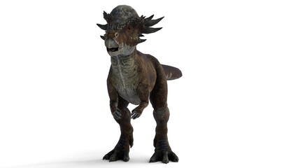 stygimoloch animal on white background © Masihullah
