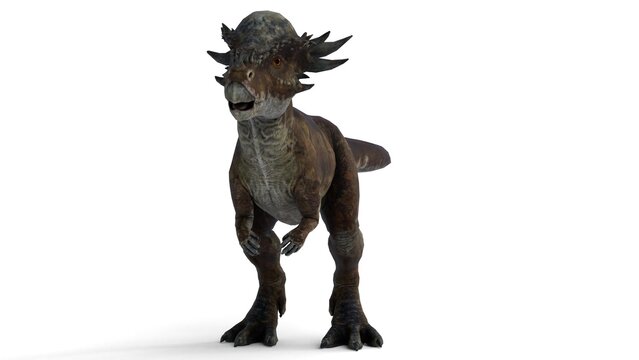 stygimoloch animal on white background